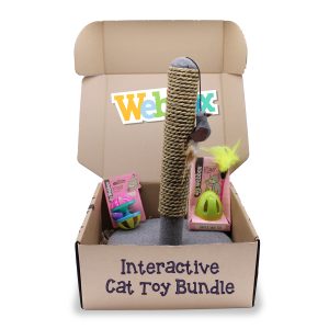 Webbox Interactive Cat Bundle