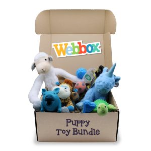 Webbox Puppy Toy Bundle Blue