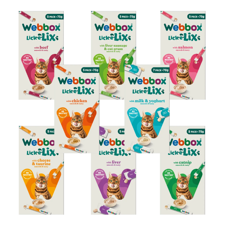 New Test Product Bundle – Out of stock